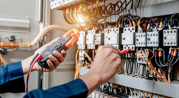 Best Electric Panel Repair  in Mcgregor, FL